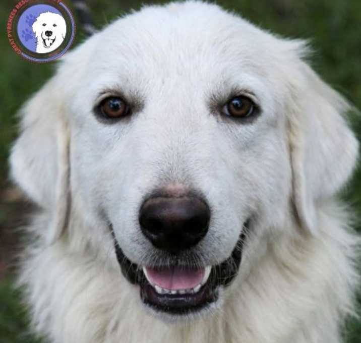 Photo of Howie