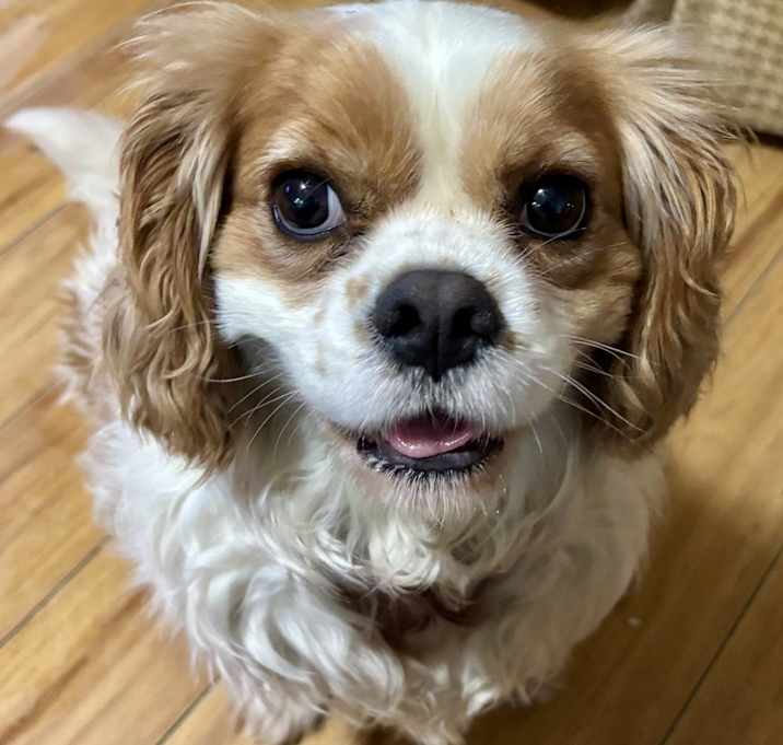 Photo of Grady