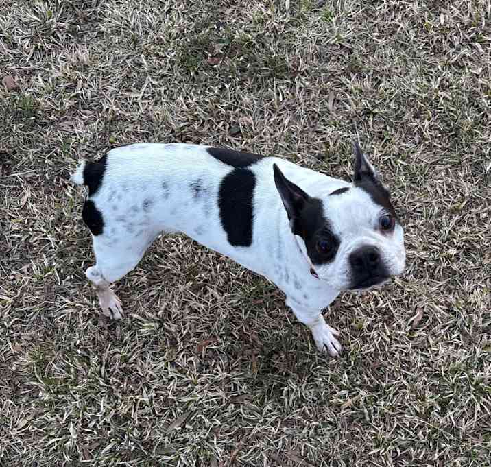 Photo of Lulu