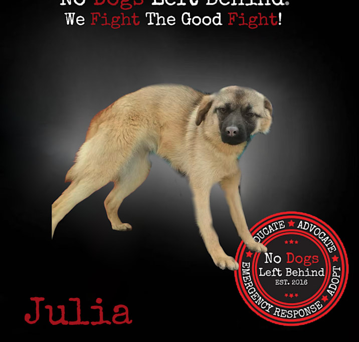 Photo of Julia 4168