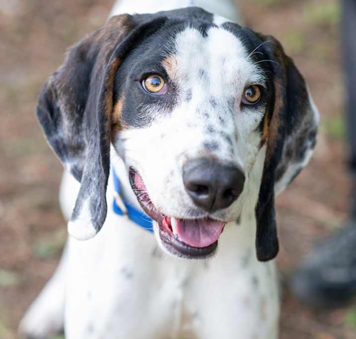 Photo of SHELDON-28725