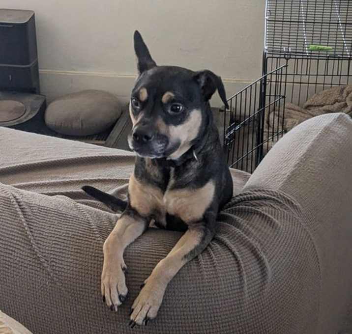 Photo of Lexi