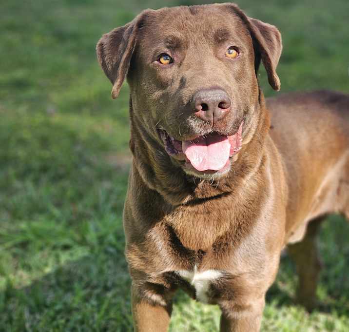 Photo of SAM