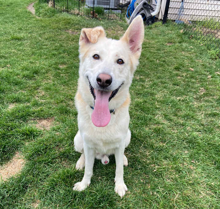 Photo of Major