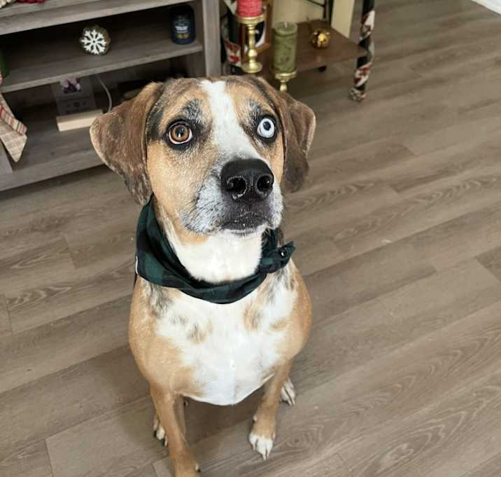Photo of Renly