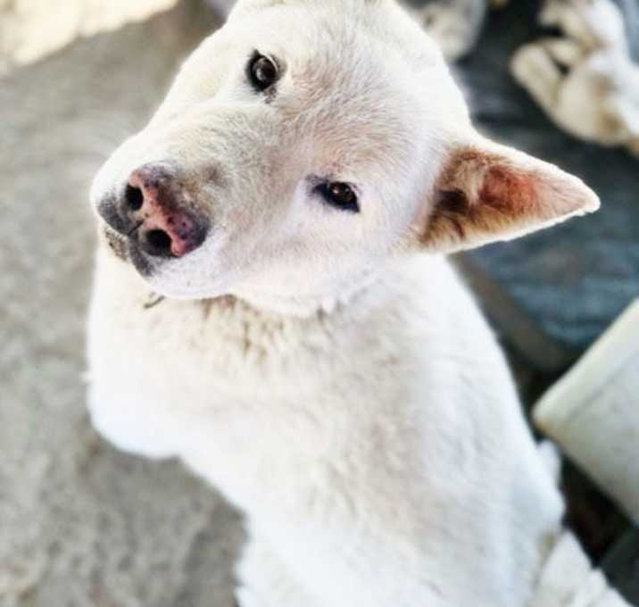 Photo of Luna