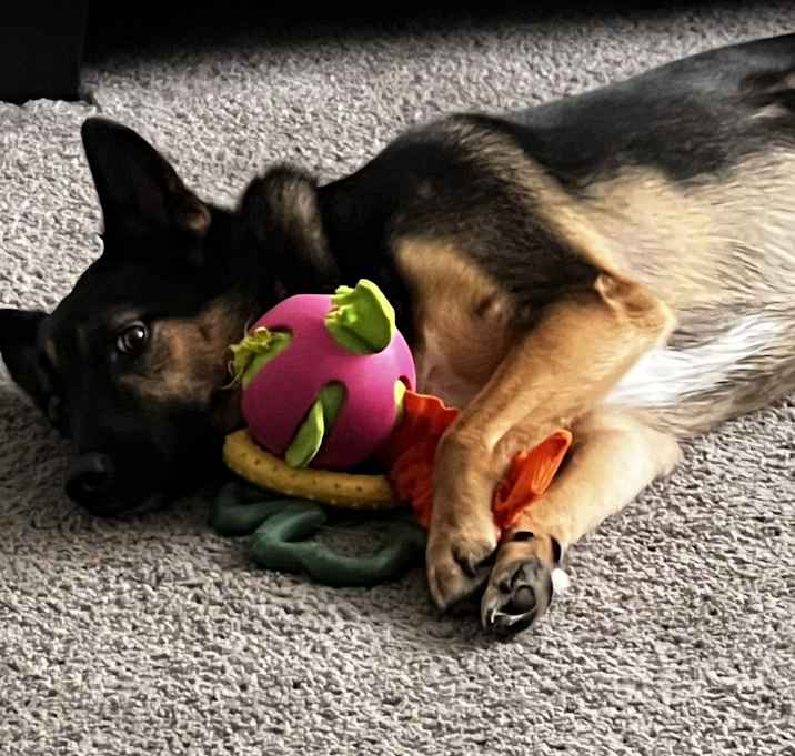 Photo of Lola