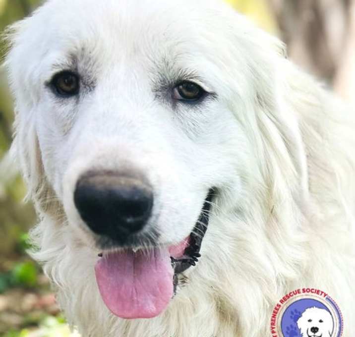 Photo of Lila