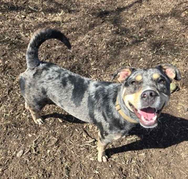 Photo of *BEAUREGARD