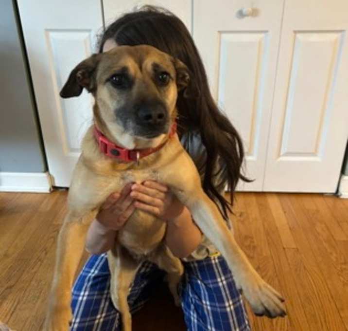 Photo of Zangel