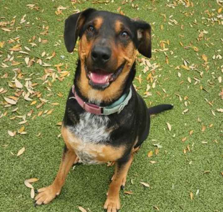 Photo of *RALPHIE