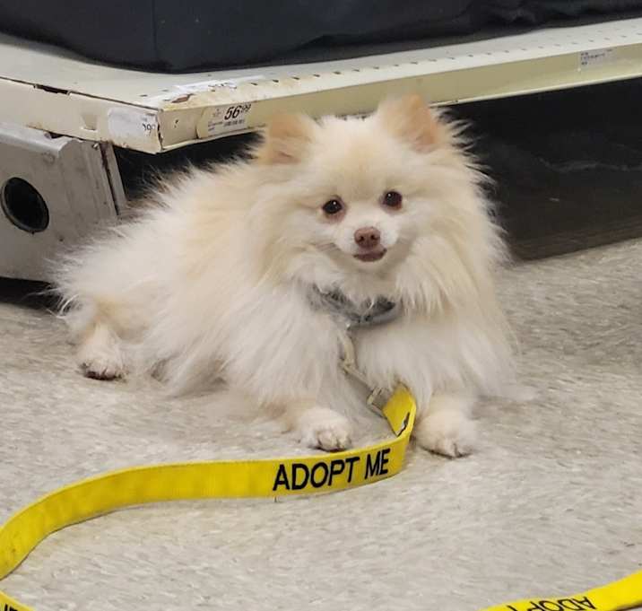 Photo of Jackson