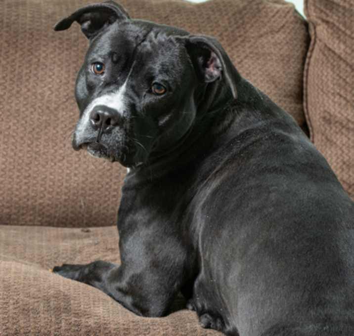 Photo of Milly