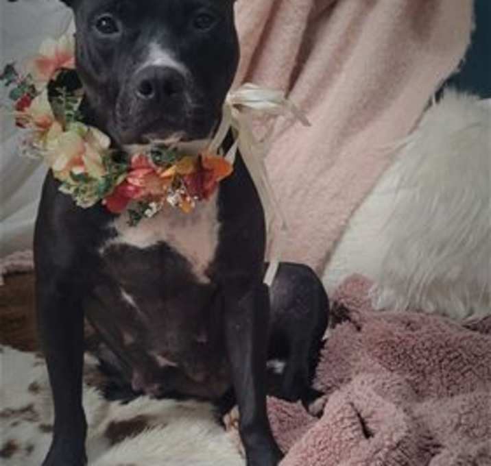 Photo of Mama Josie