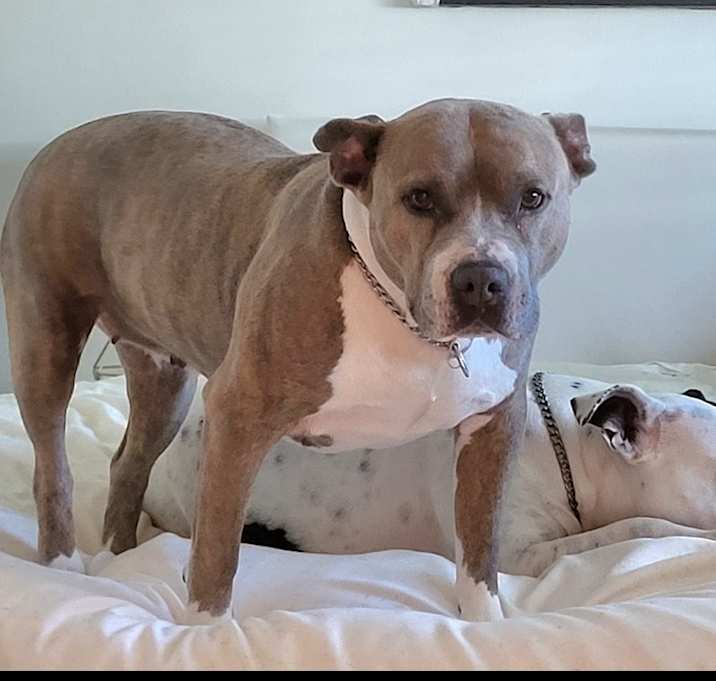 Photo of Annie
