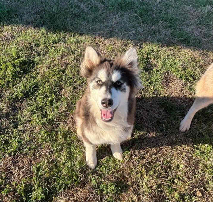 Photo of Jasmine