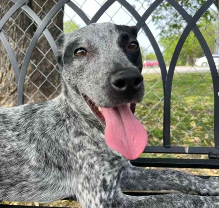 Photo of Dolly Pawton