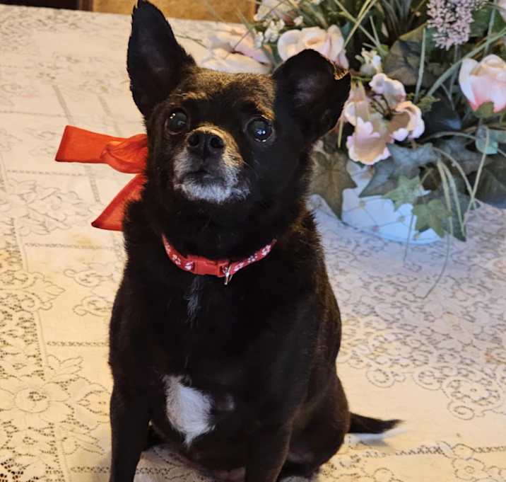 Photo of Jolie
