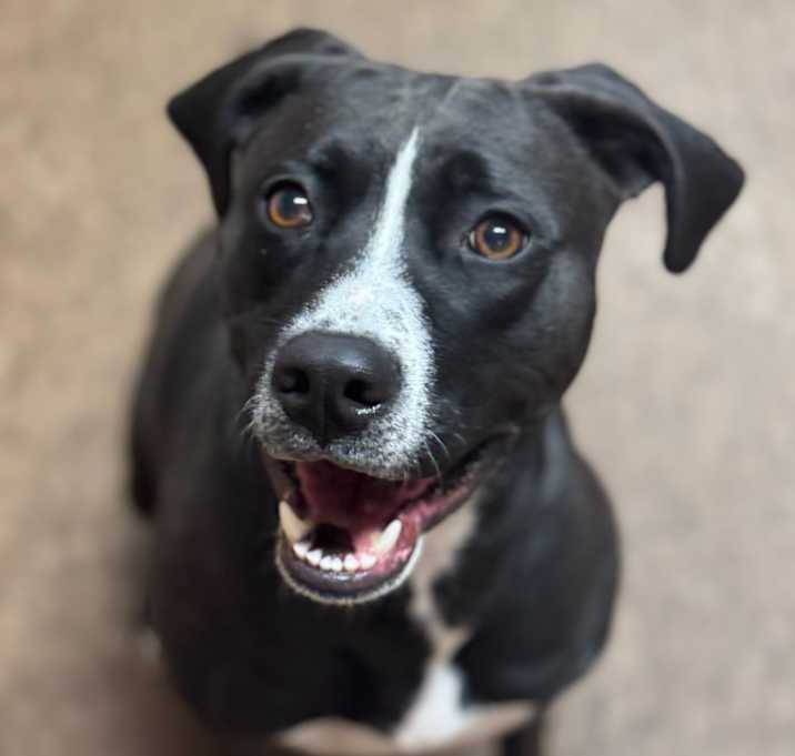 Photo of Maggie Mae