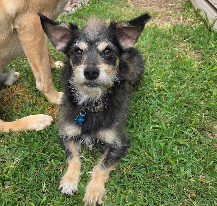 Photo of Cooper