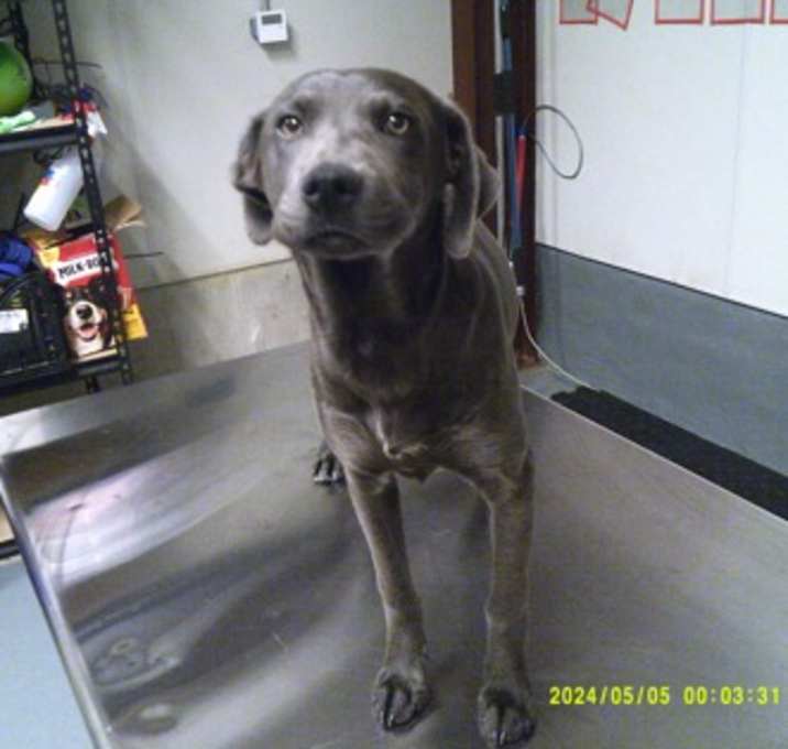 Photo of Lala