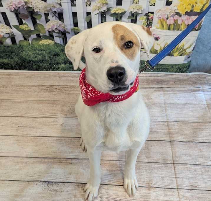 Photo of Charlie
