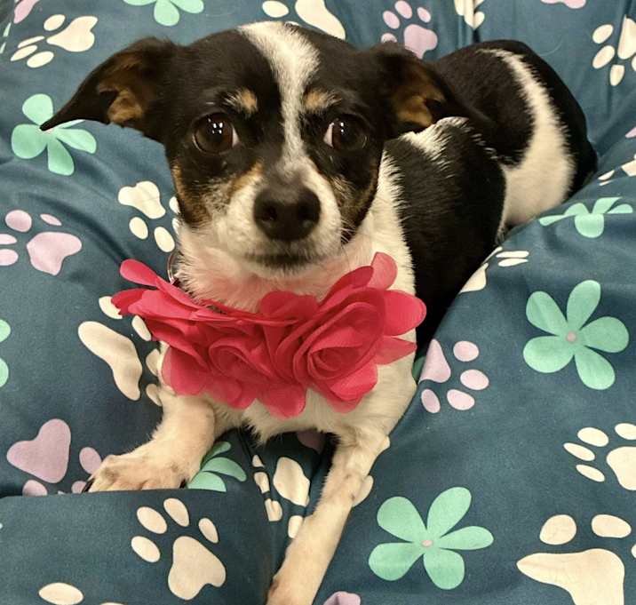 Photo of Ellie Mae
