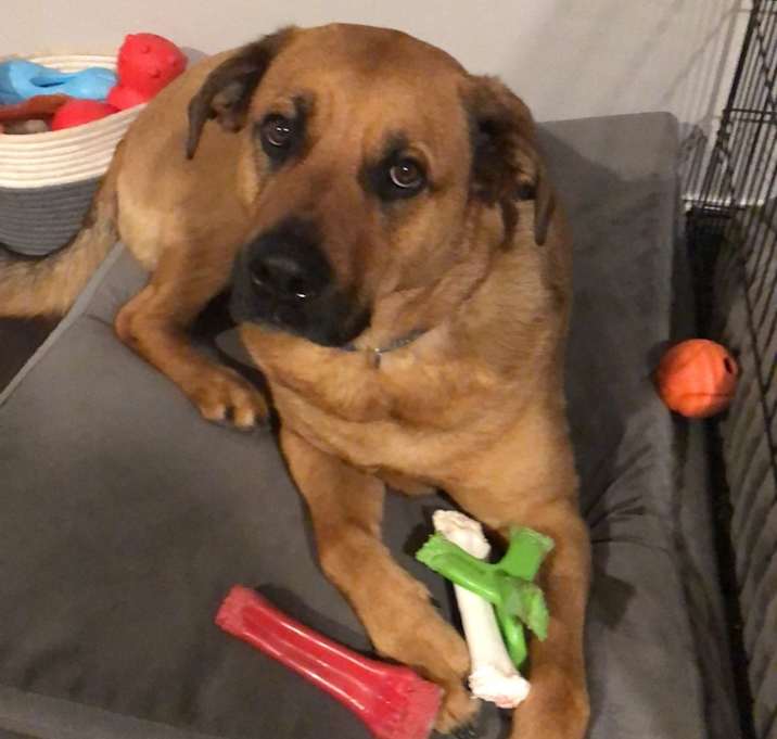 Photo of Duke