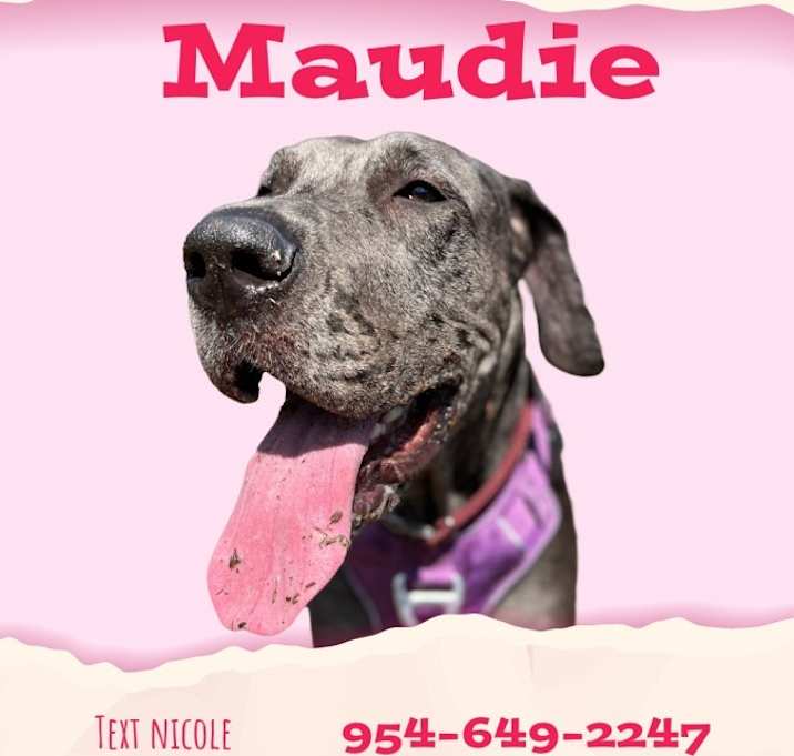 Photo of Maudie