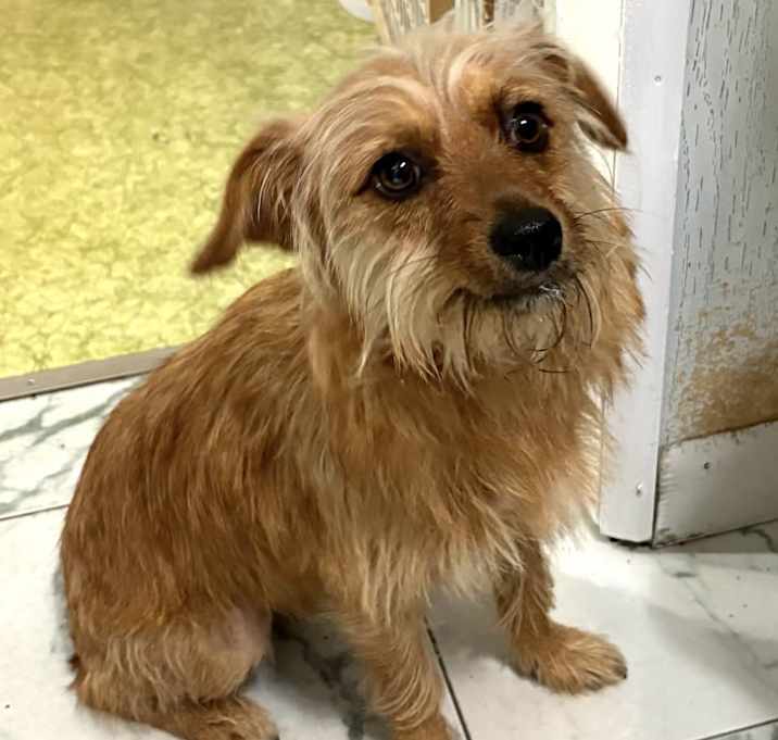 Photo of Sweetie