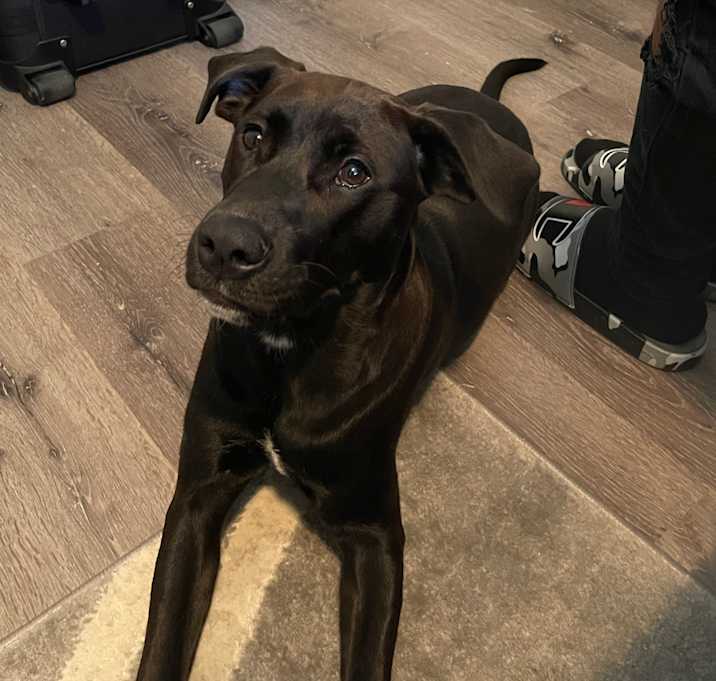 Photo of Phoenix