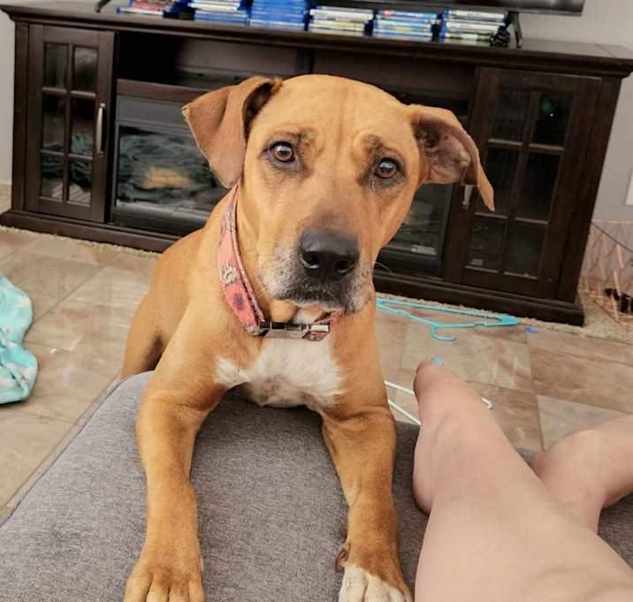 Photo of Patience