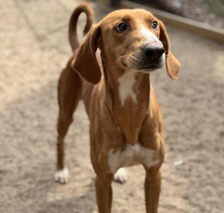 Photo of Rita - 25096