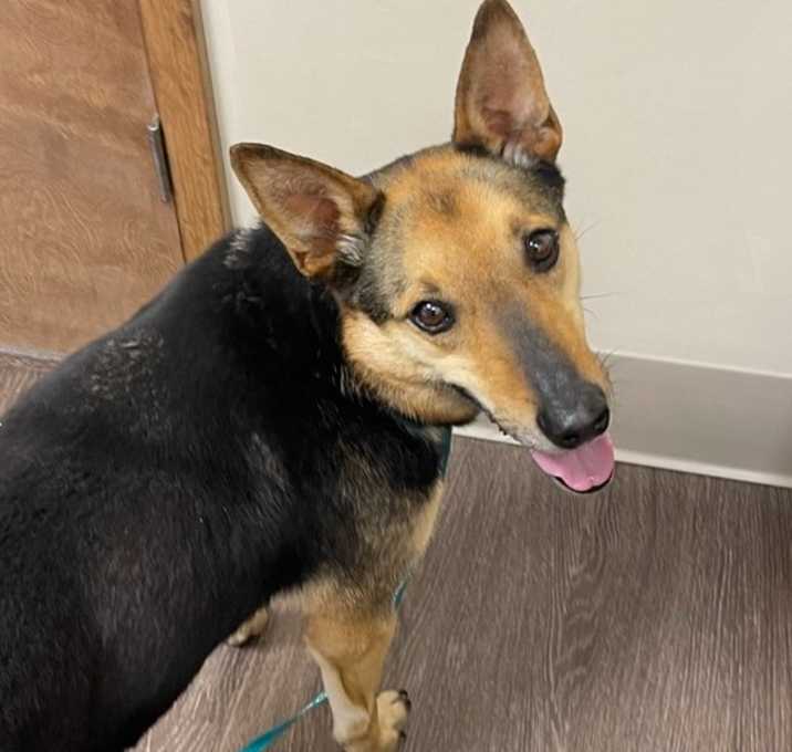 Photo of Fritz