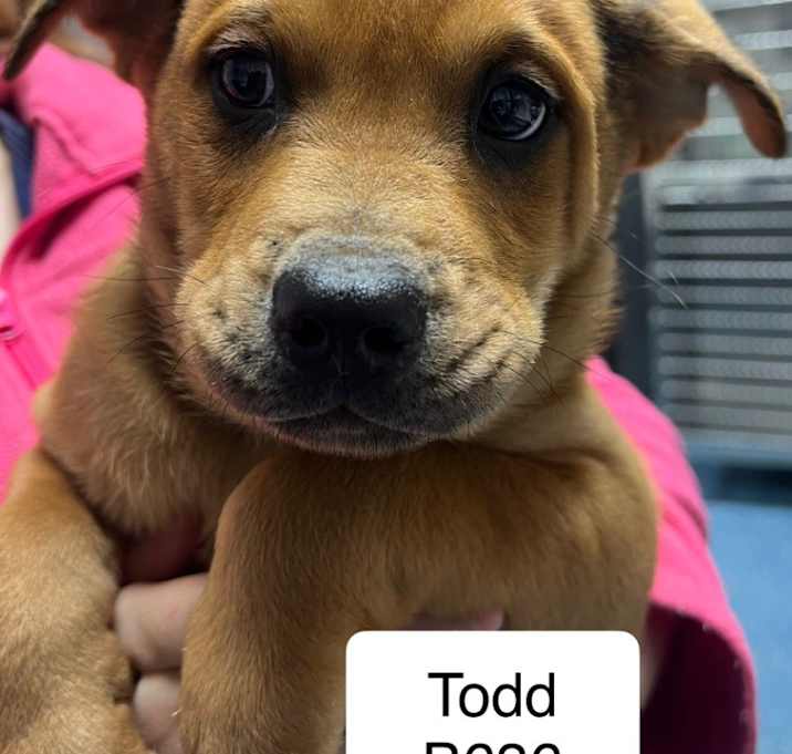 Photo of Todd B636