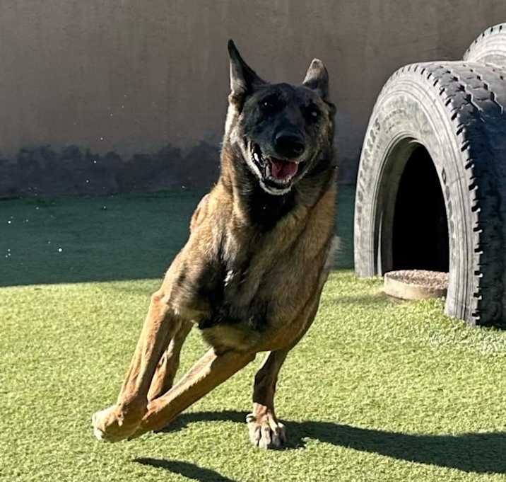 Photo of Lady Jade in New Mexico