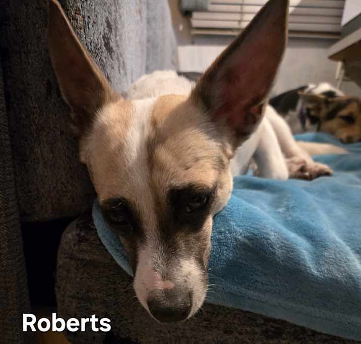 Photo of Roberts