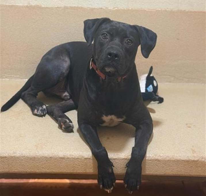 Photo of TURBO