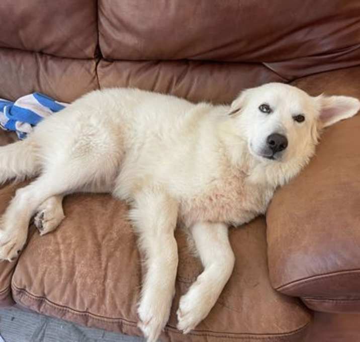 Photo of Sally