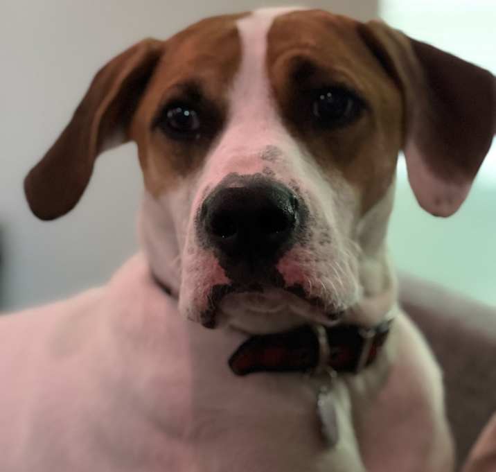 Photo of Charlie