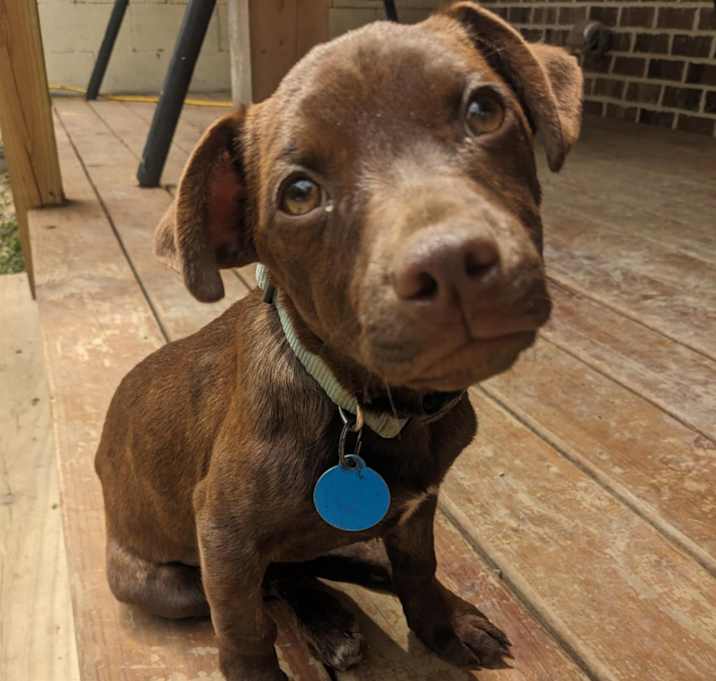 Photo of Tugger