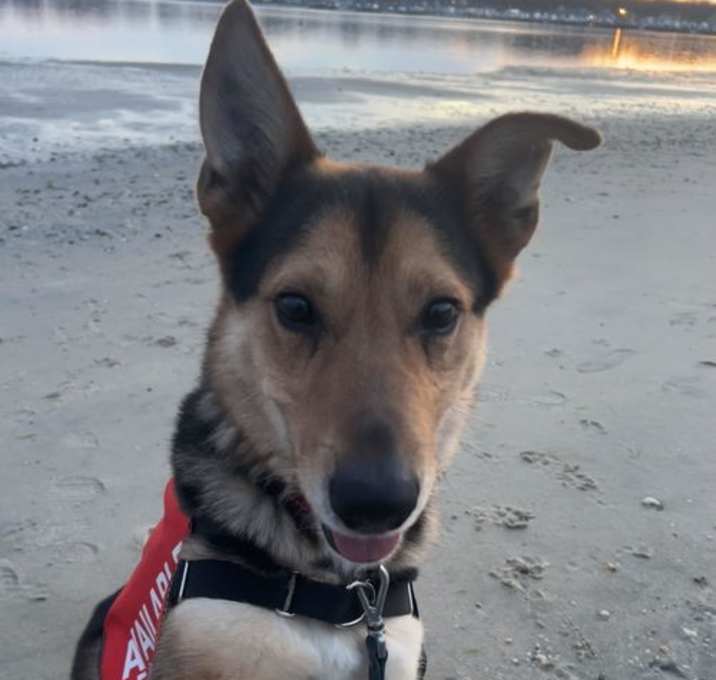 Photo of Max - Maximum Cuteness!