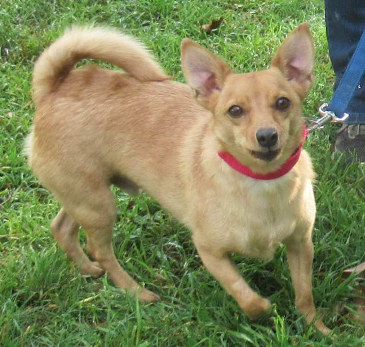 Photo of Hopper