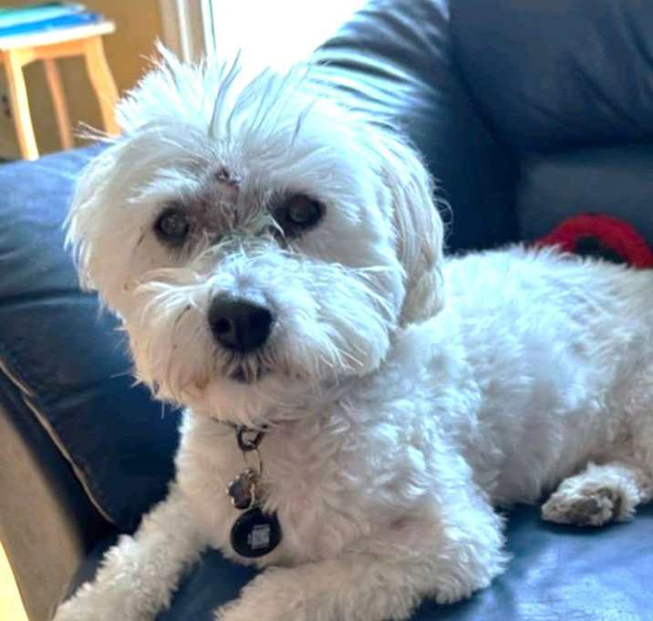 Photo of MEEKA courtesy post in RI