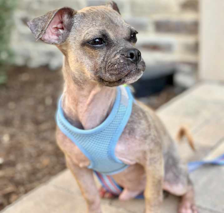 Photo of Hercules