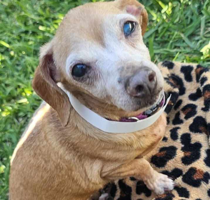 Photo of Princess Poppy