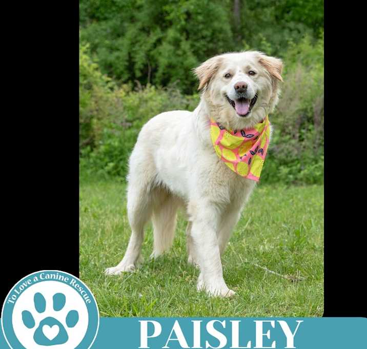 Photo of Paisley (mom to Paisley's Poppets) 041925