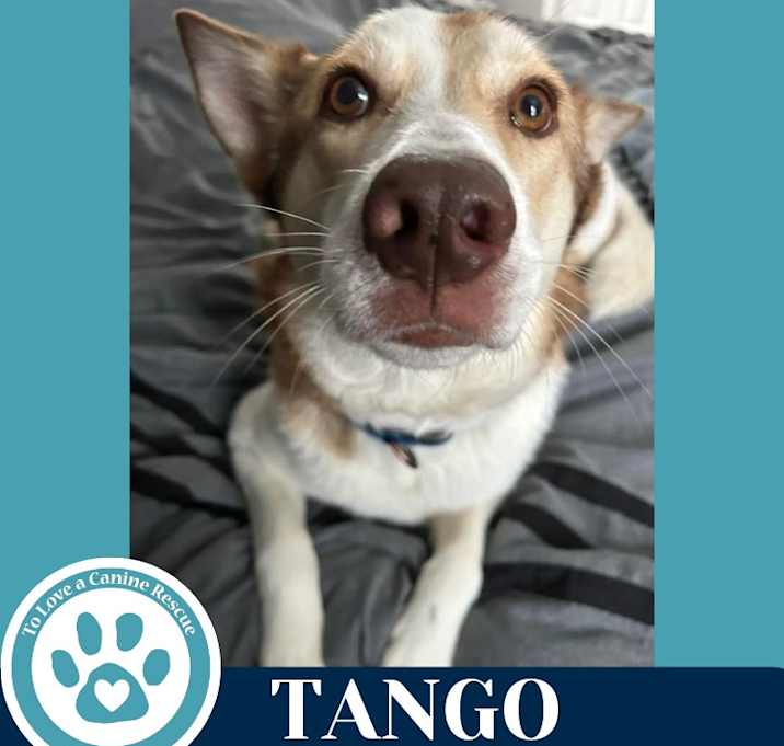 Photo of Tango 041925