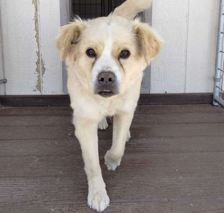 Photo of Penny