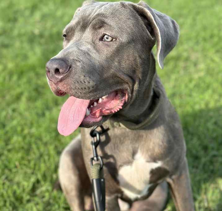 Photo of Kash
